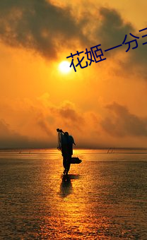 花姬一分三塊直播
