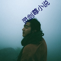 靈劍尊小說