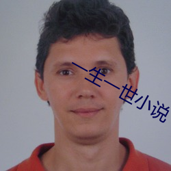 一生一世小说