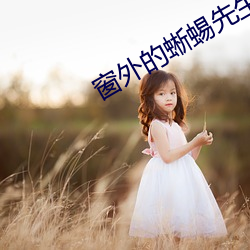 窗外的蜥蜴先生