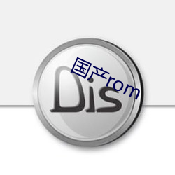 國産rom