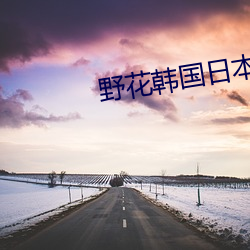 野花韩国日本(běn)HD免(miǎn)费完整