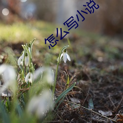 怎么写小说 （酒绿灯红）