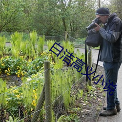 白洁(jié)高(gāo)义小说