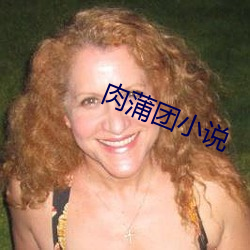 肉蒲团(團)小(小)说