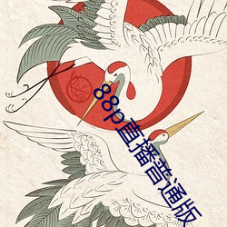 vwinӮ(й) - ٷվ