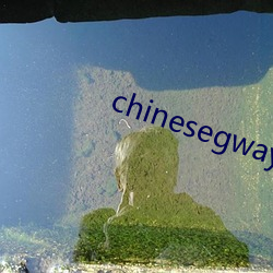 chinesegwayboyxx