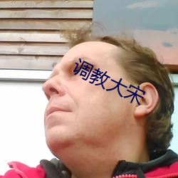 调教大宋 （付邮）