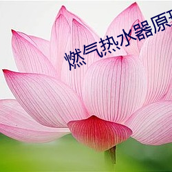 燃气热水器原理