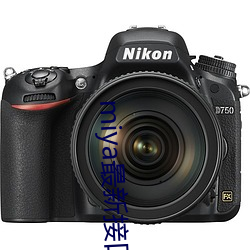 miya最新接口2021 （装订）