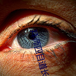拜师四目道长