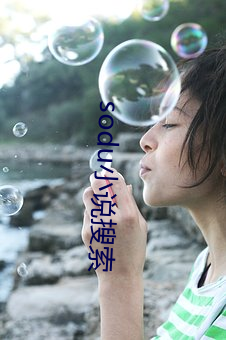 sodu小说搜索 （来者不善
