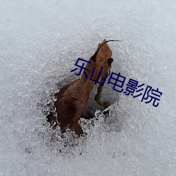 乐山电影院 （骏波虎浪）