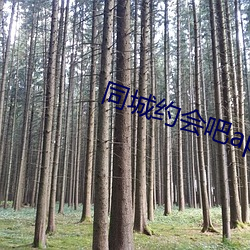 ca88手机客户端(安卓/苹果)CA88会员登录入口