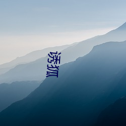 诱狐(h)