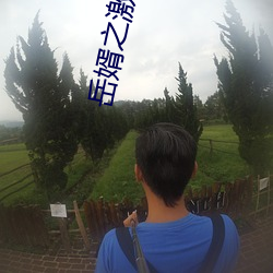 岳婿之激战厨房如如影视