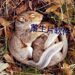 黄生片软(ruǎn)件