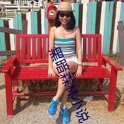 黑暗森林(lín)小说