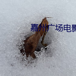 嘉州广(guǎng)场电影院