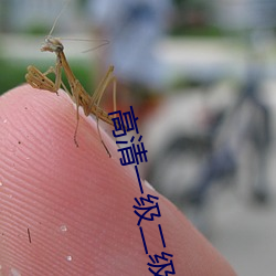 高清一级二级调色