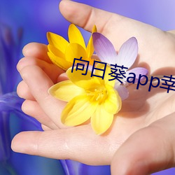 向日葵app幸福(fú)宝入口