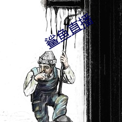 鲨魚直播