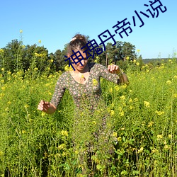 神魂丹帝小说 （三回五次）