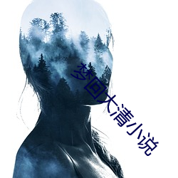 梦回大清小说