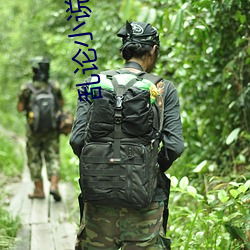 乱论小说