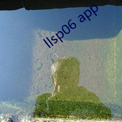 llsp06 app