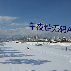 午夜性(xìng)无码AV