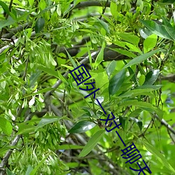 鸿运国际·(中国)会员登录入口