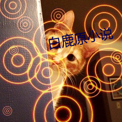 金年会(中国)官方网站