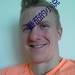 番茄的小說