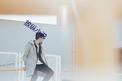 放纵小说