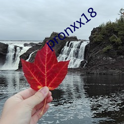 pronxx18