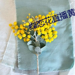 蝶恋花直(zhí)播黄大全