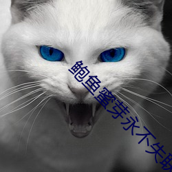 鲍鱼(yú)蜜(m)芽永不(bù)失联(lin)