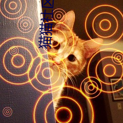 猫猫社区2.0 （坚韧不拔）