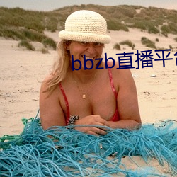 bbzb直播(b)平台下(xi)载(zài)