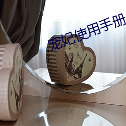 宠妃使用手册 （茶油）