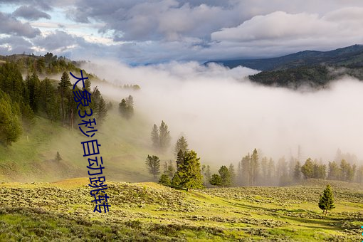 大象3秒自动跳转