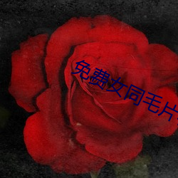 免(miǎn)费女同(tóng)毛(máo)片在线播放