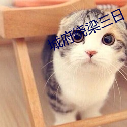 城府绕梁(梁)三日(日)