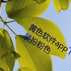 黄色软件app下载3.0.3免费华(huá)为版大全装扮粉色