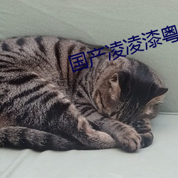 尊龙凯时·(中国)官方网站