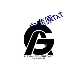 白鹿原txt