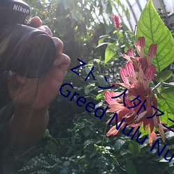 Zȥ⥢˥` A Beautiful Greed Nulu Nulu
