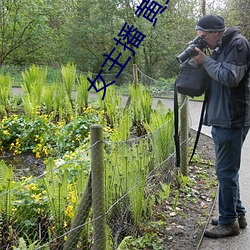 女主播(bō) 黄鳝