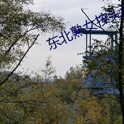 东北熟女(nǚ)按(àn)头吞精视频(pín)